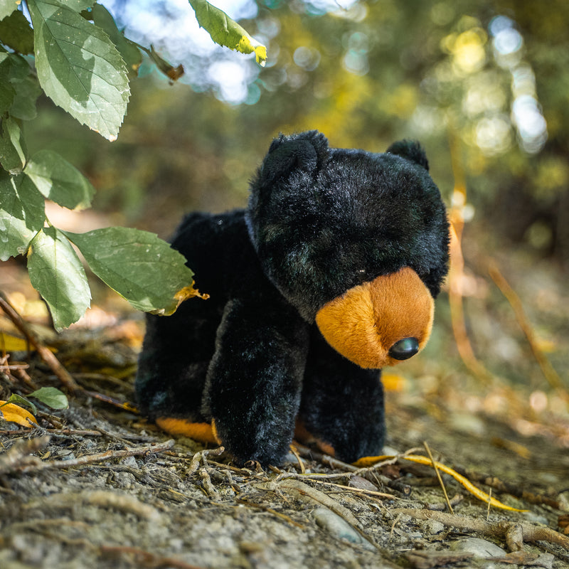 9" (23cm) Wild Onez Black Bear