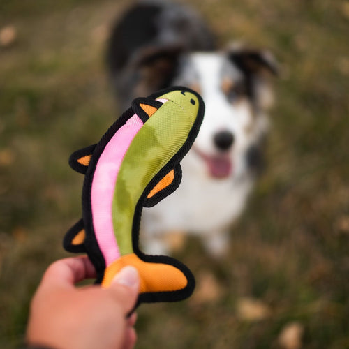 Animal Dog Toys